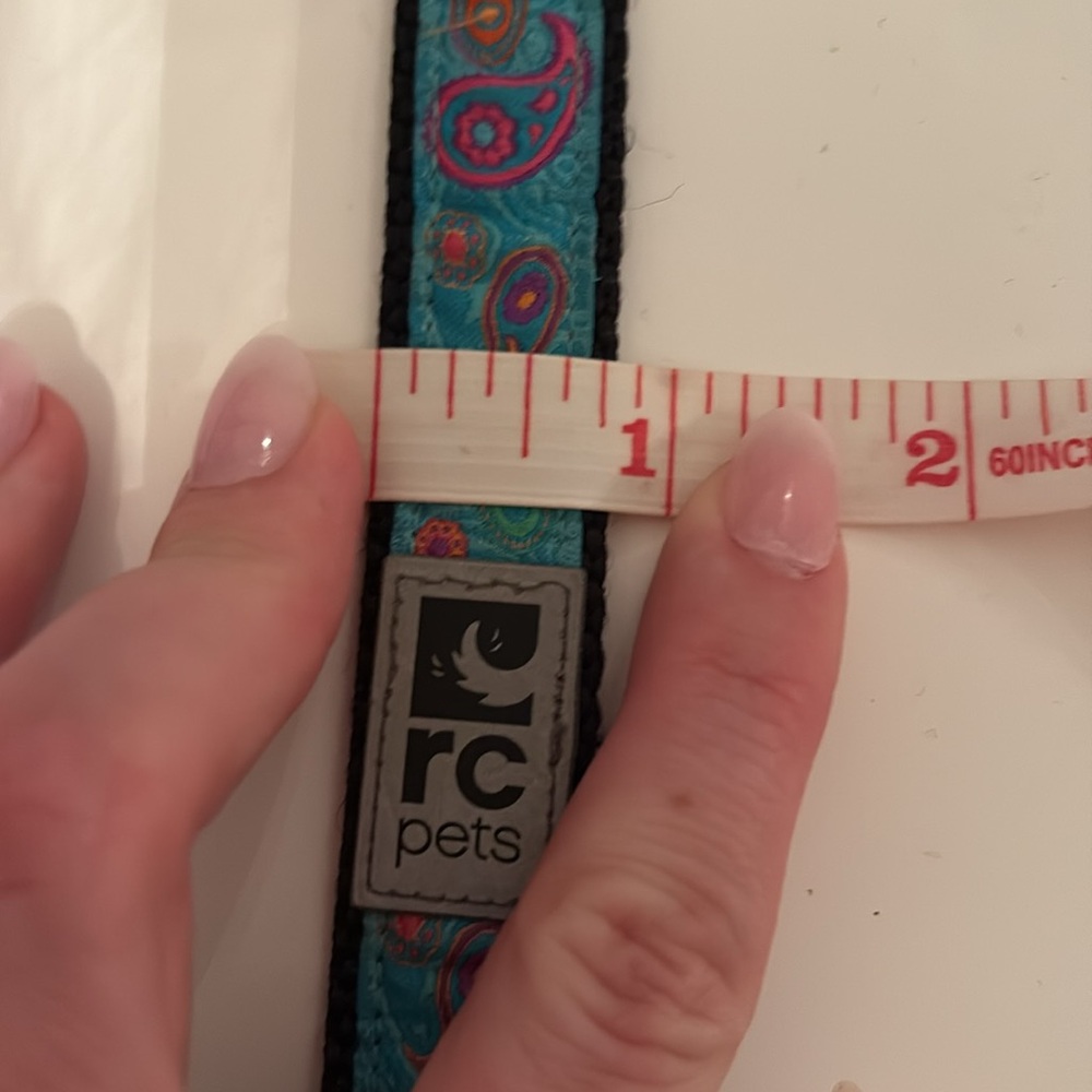 Dog Collar - Picture 4 of 6